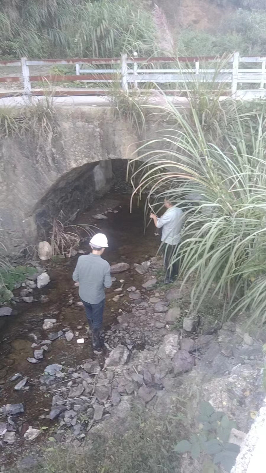 石臺(tái)縣仙寓鎮(zhèn)危橋鑒定檢測(cè)